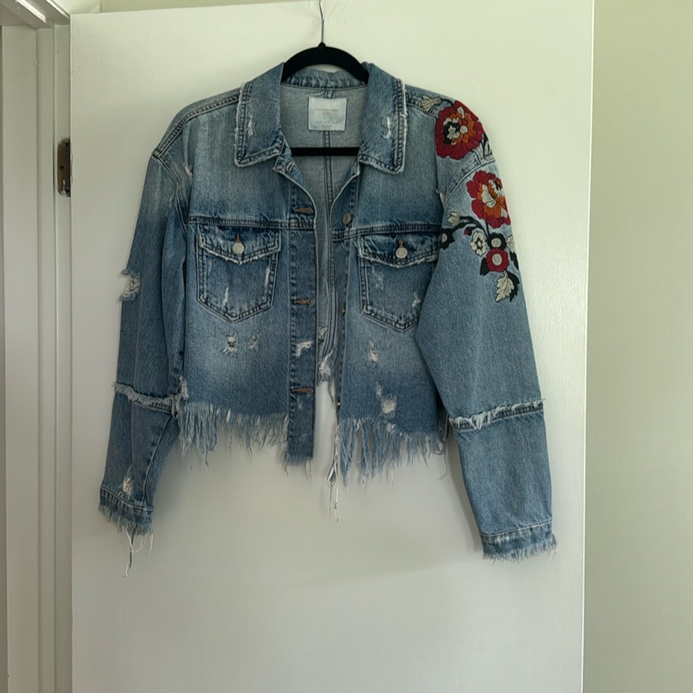 Zara Embroidered Denim Jacket
